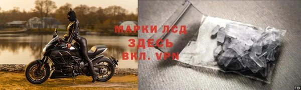 гашик Алексин