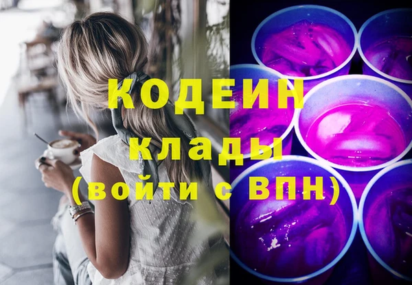 гашик Алексин