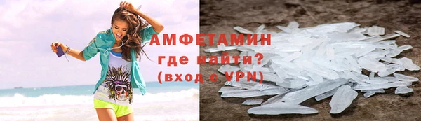 гашик Алексин