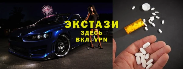 гашик Алексин