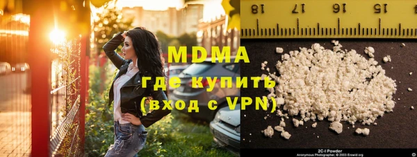 гашик Алексин