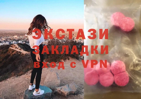 гашик Алексин